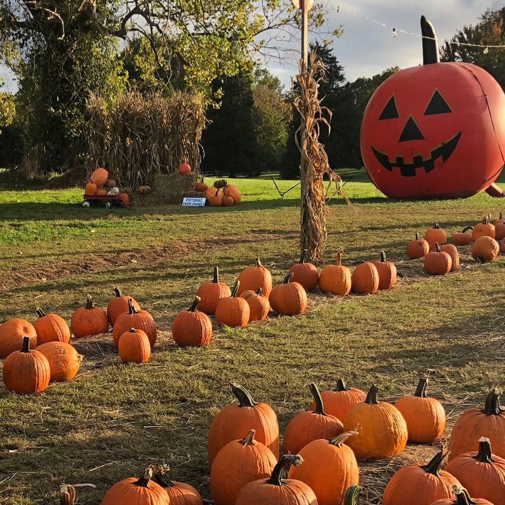 Meet your Posher, Becky